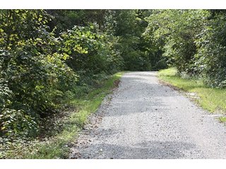 Property photo 12 - LAND AUCTION - 261+/- ACRES IN BRECKINRIDGE COUNTY